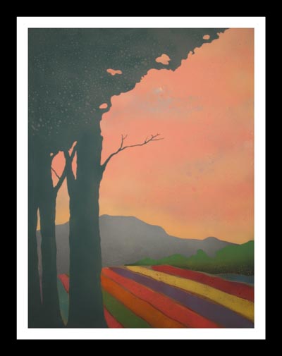 Fields of Color