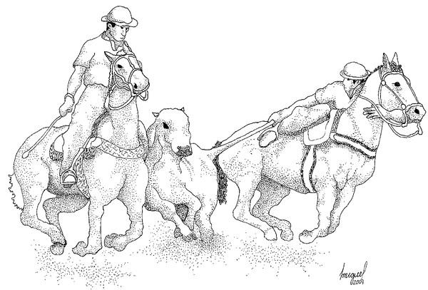 Vaquejada III