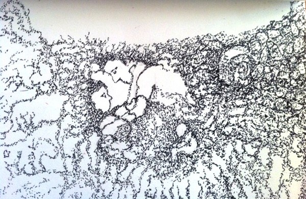 Memory: Detail of 