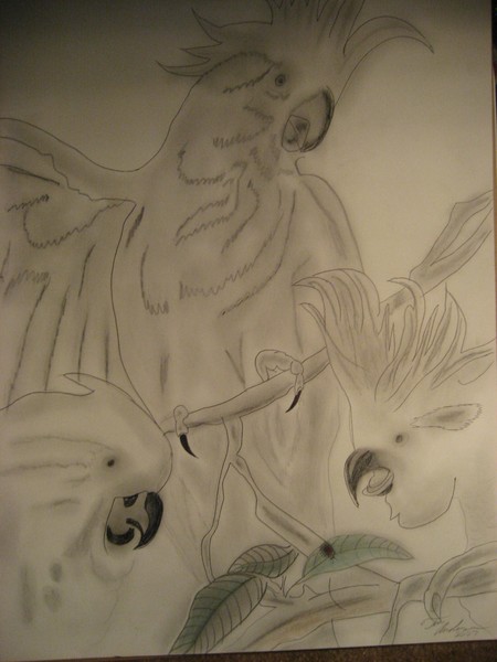 Three twos