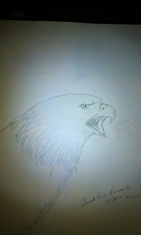 indian agila