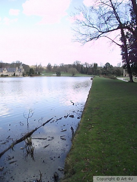 Newstead Abbey .. Driftwood