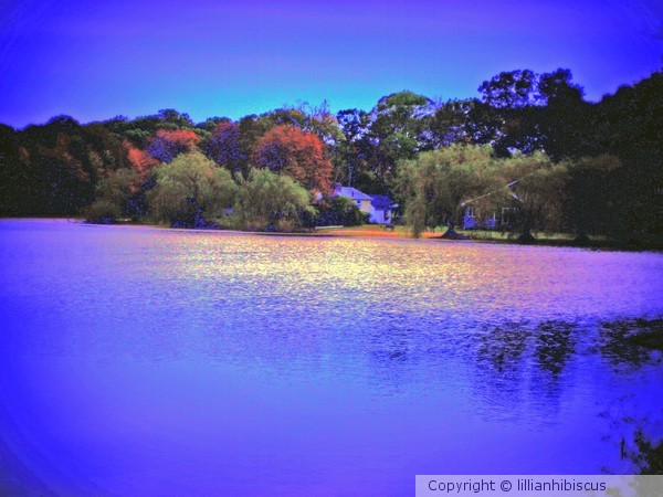 Autumn Evening