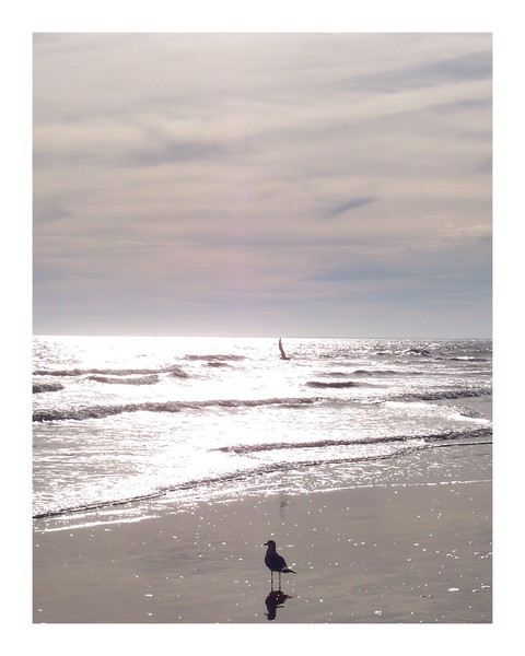 Left Behind