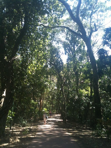Walk way in Noosa 