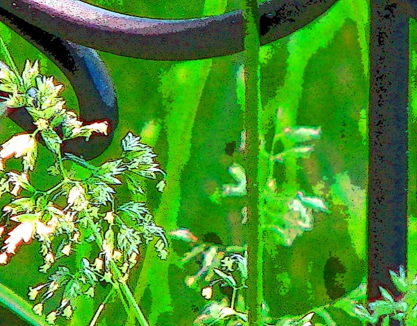 More Greenery
