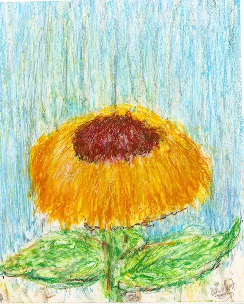 Sunflowers 2008