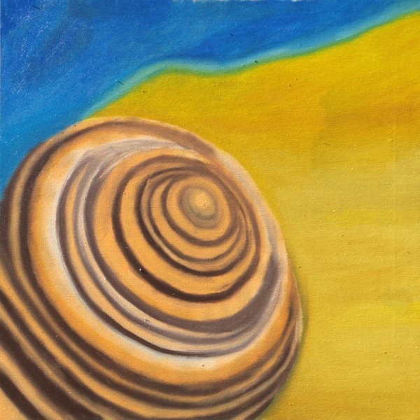 Seashell Beach 