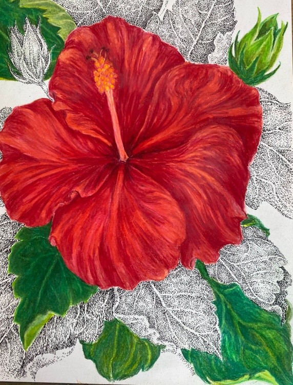 Hibiscus in Red
