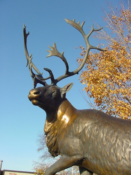 The Spirit of Caribou 2