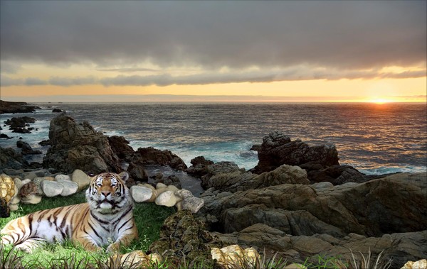 982-Siberian Shoreline Sunset