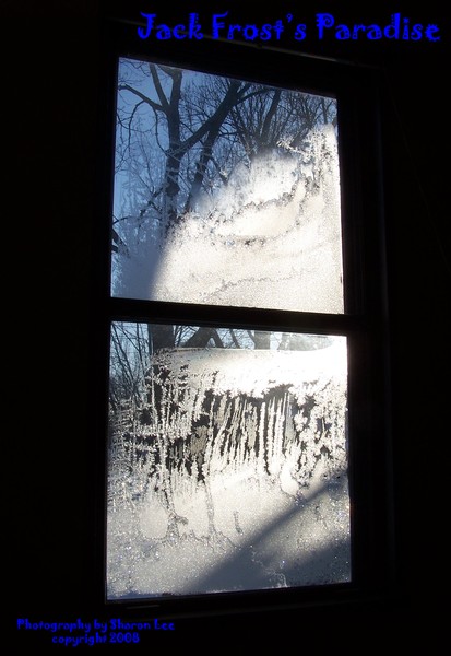 Jack Frost's Paradise