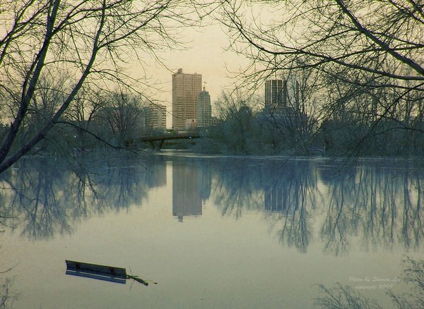 Floating City