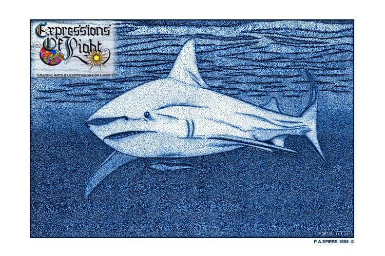 ExpoLight-Graphic-Arts-Shark-1989-0001 (Pen-&-Ink-Blue-Sepia-SP)