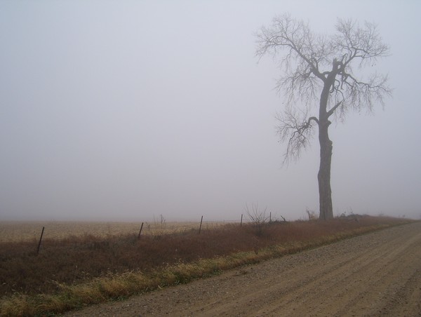 erie