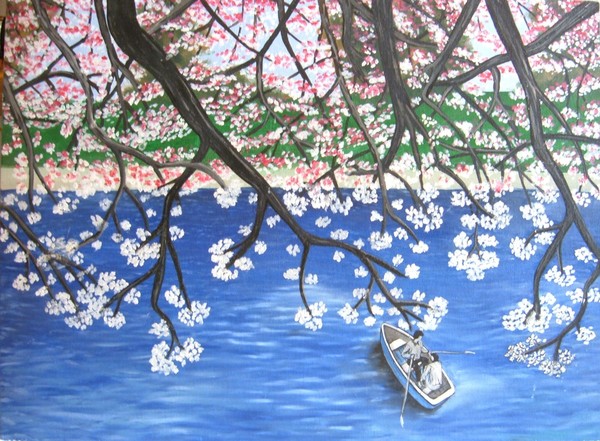 Cherry Blossoms