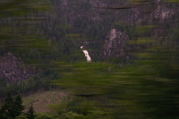 Cascades: As Seen From AmTrak