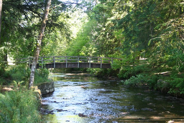 Picture_016