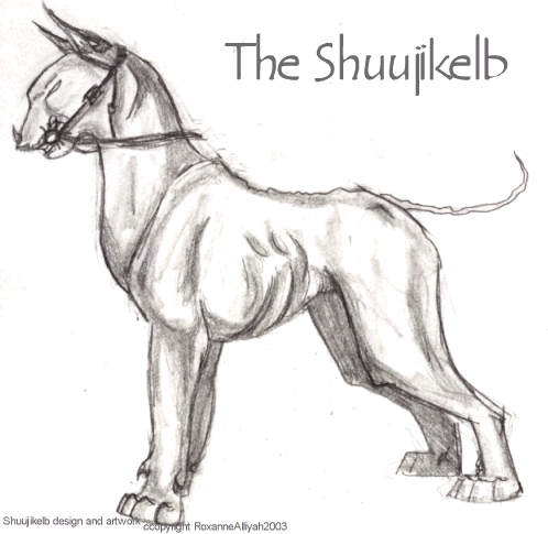 The Shuujikelb