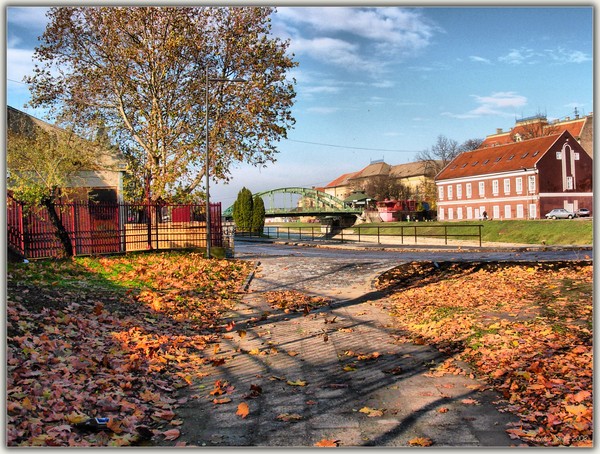 Road To Autumn-1