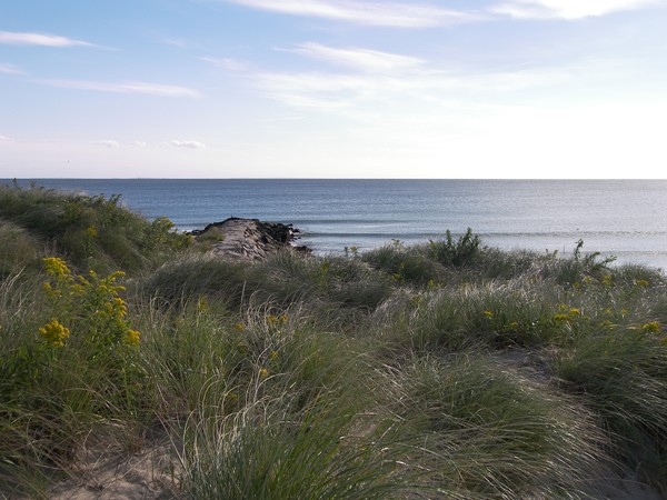 Watch Hill Dune and Breakwater