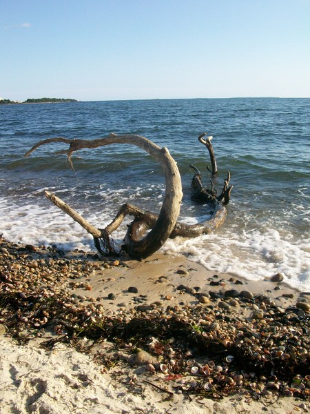Ocean Art
