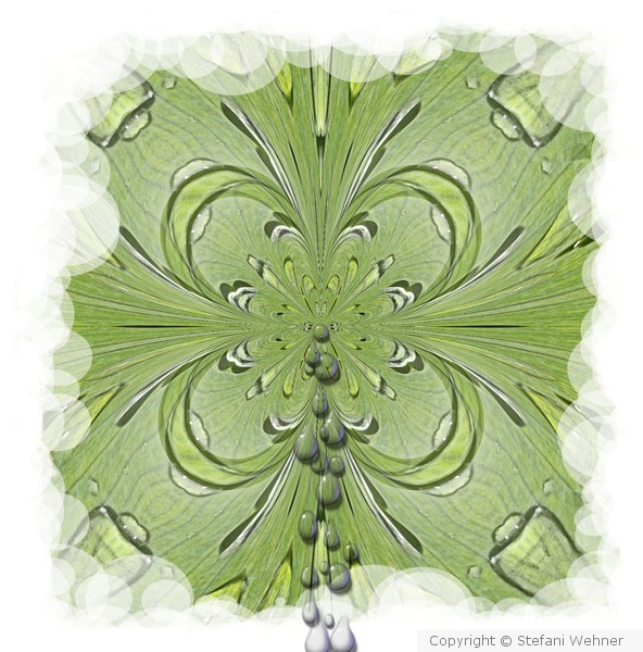mandala with waterdrops