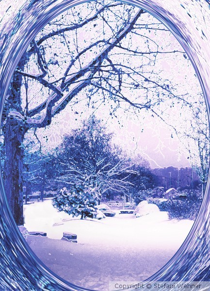 winter view