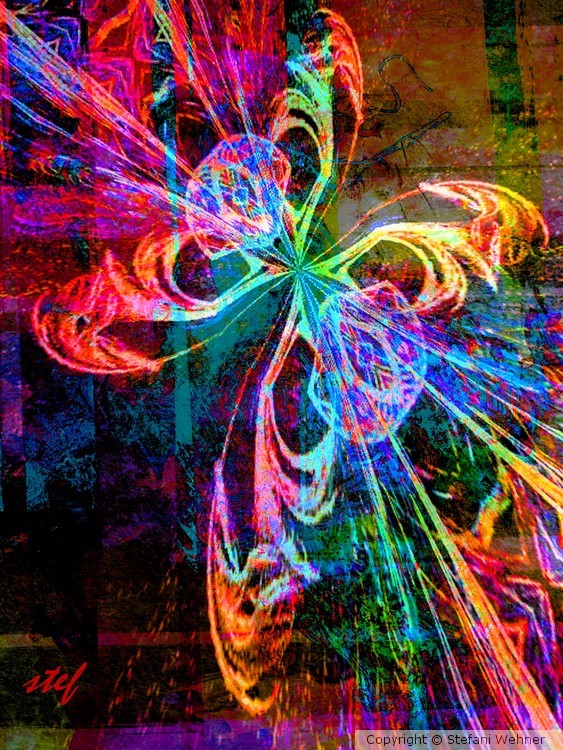 fairy butterfly