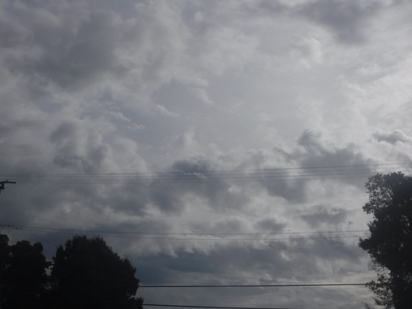 Promise Rain