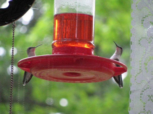 hummers