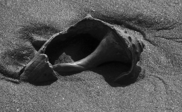 one with the sand