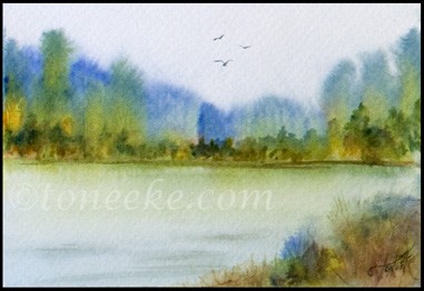 Misty Morning