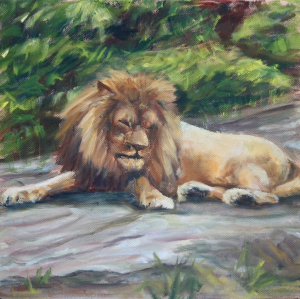 BRONX ZOO LION