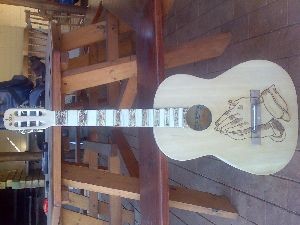 Guiter customizing