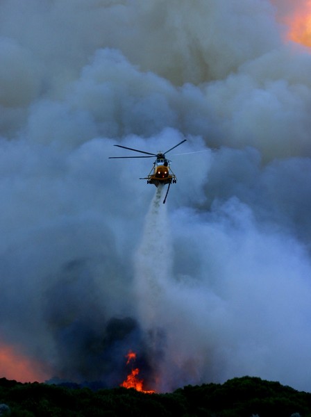 'Bush Fire'
