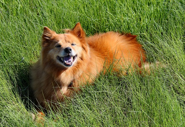 Cindy in the Salt Grass
