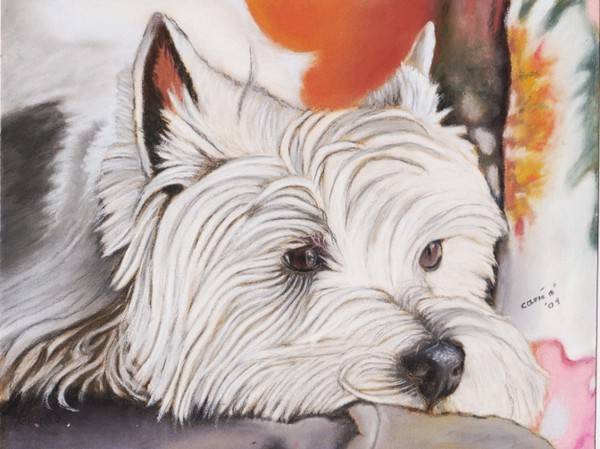 nc art orig pastel painting westie dog