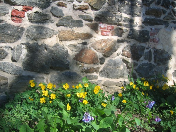Stone, Flowers, Shadows in Brandywine