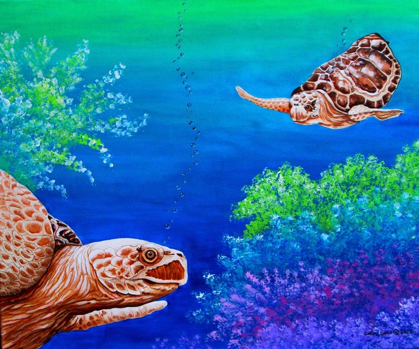 Sea Turtles