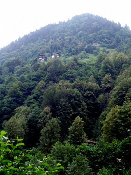 from north east of Turkey