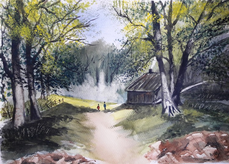Forest walk