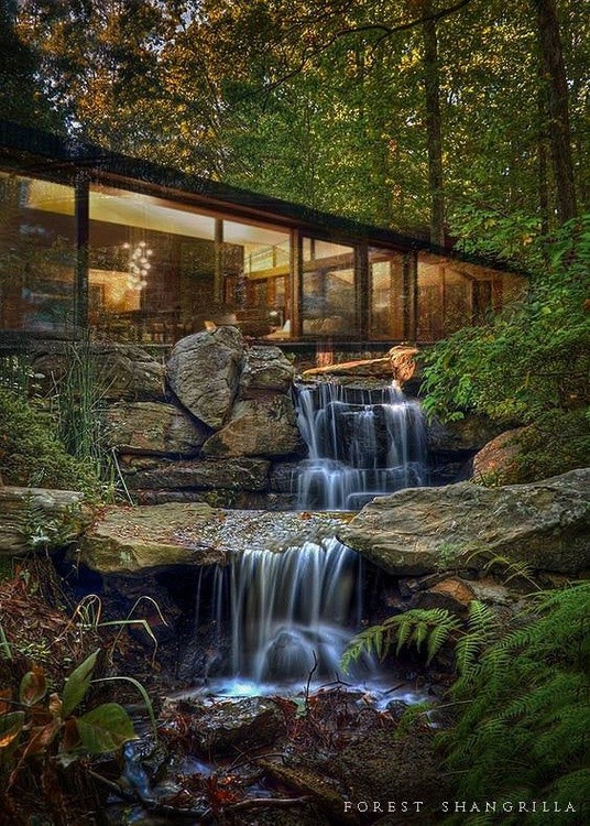 Eco Casa Forest View 1