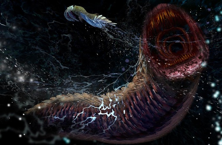 cambrian predators by grafgunther ddblryj-fullview