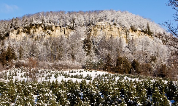 Rattlesnake Point