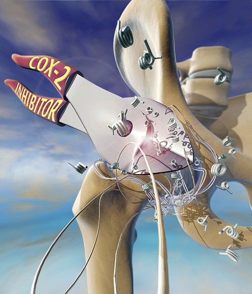 COX-2-Inhibitor
