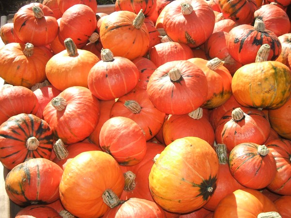 Pumpkins