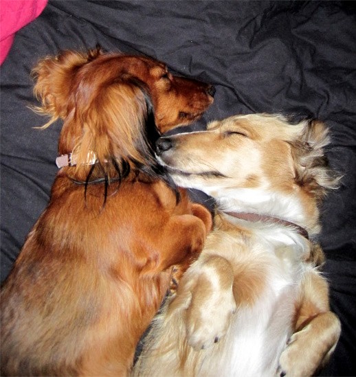 Sisters