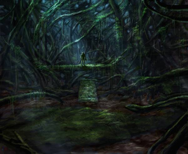 swamp