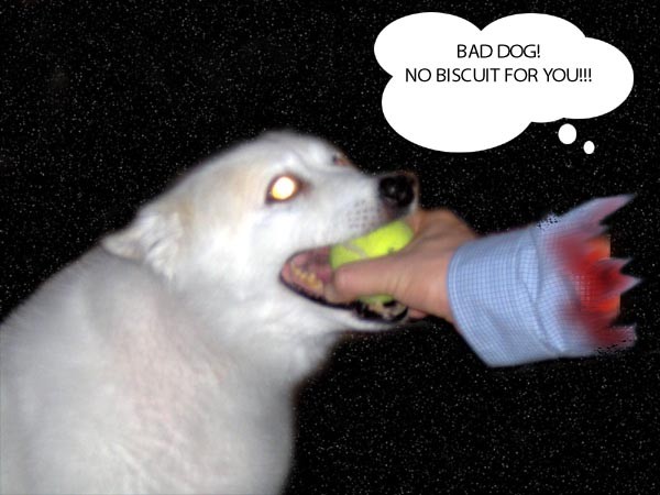 Bad Dog - Happy Halloween